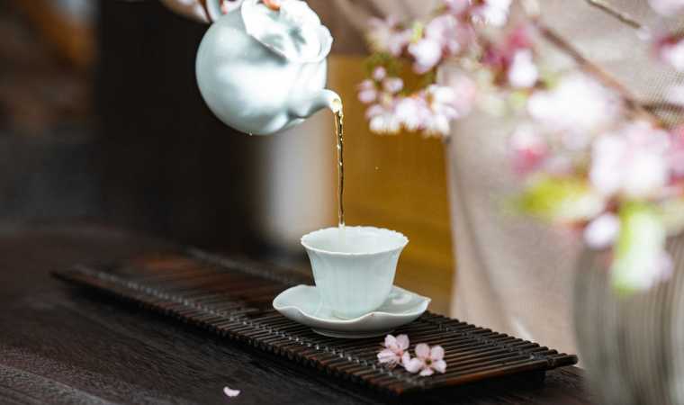 一次独特的北京品茶体验：茶香中的放松之旅Spa点评网