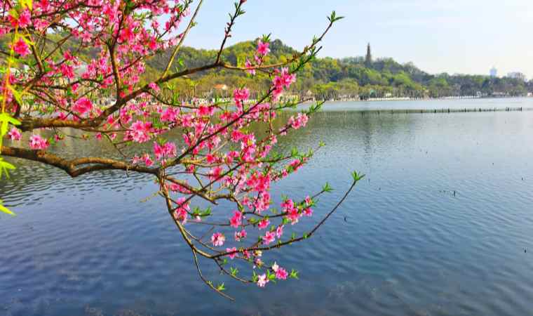 北京养生网分享的春季养生要点：拥抱春天，呵护健康Spa点评网
